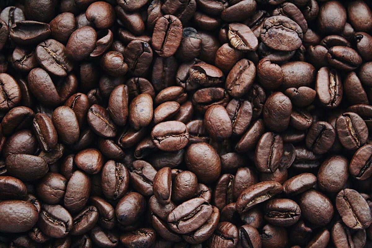 Coffee cherries and green beans