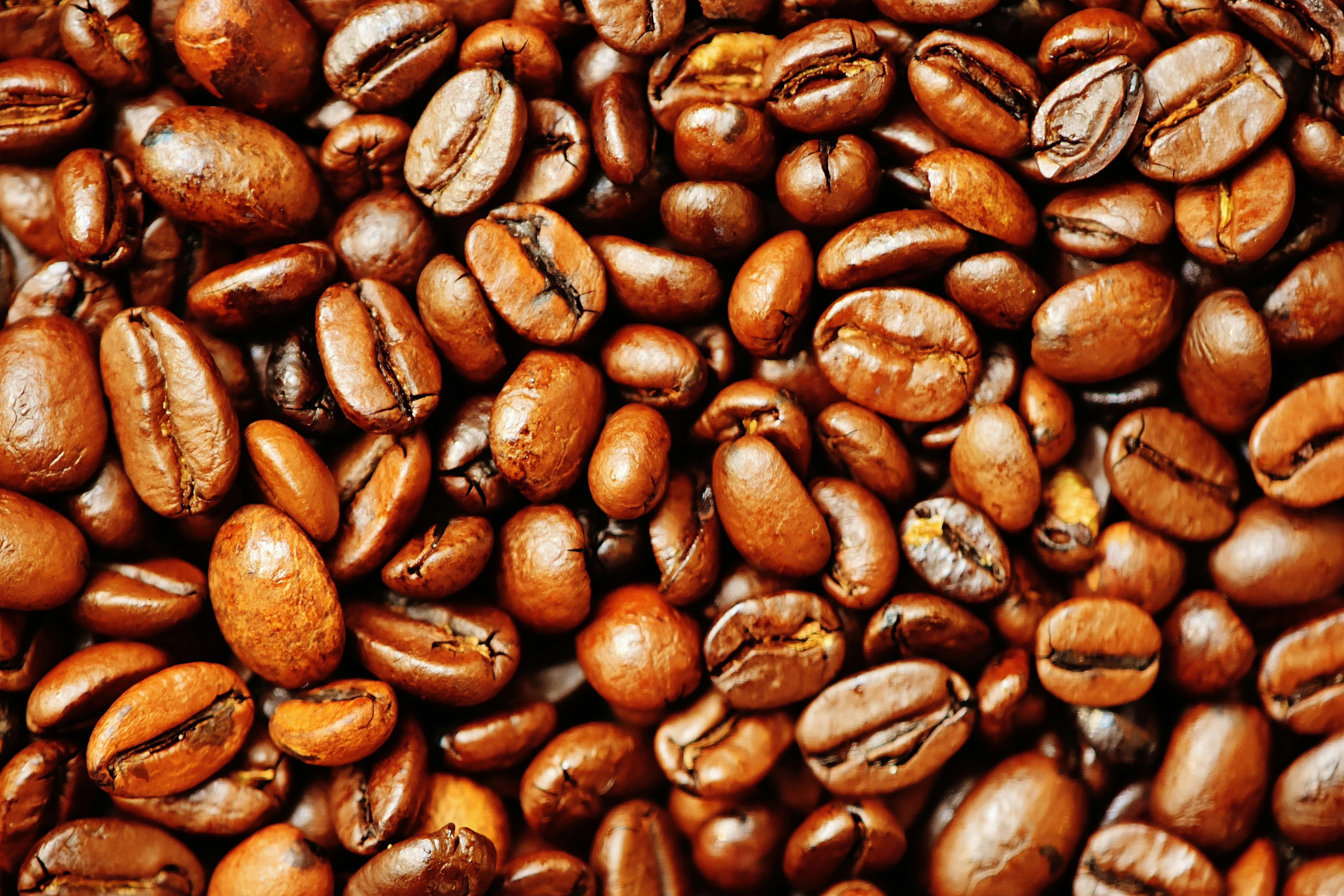 Freshly brewed coffee