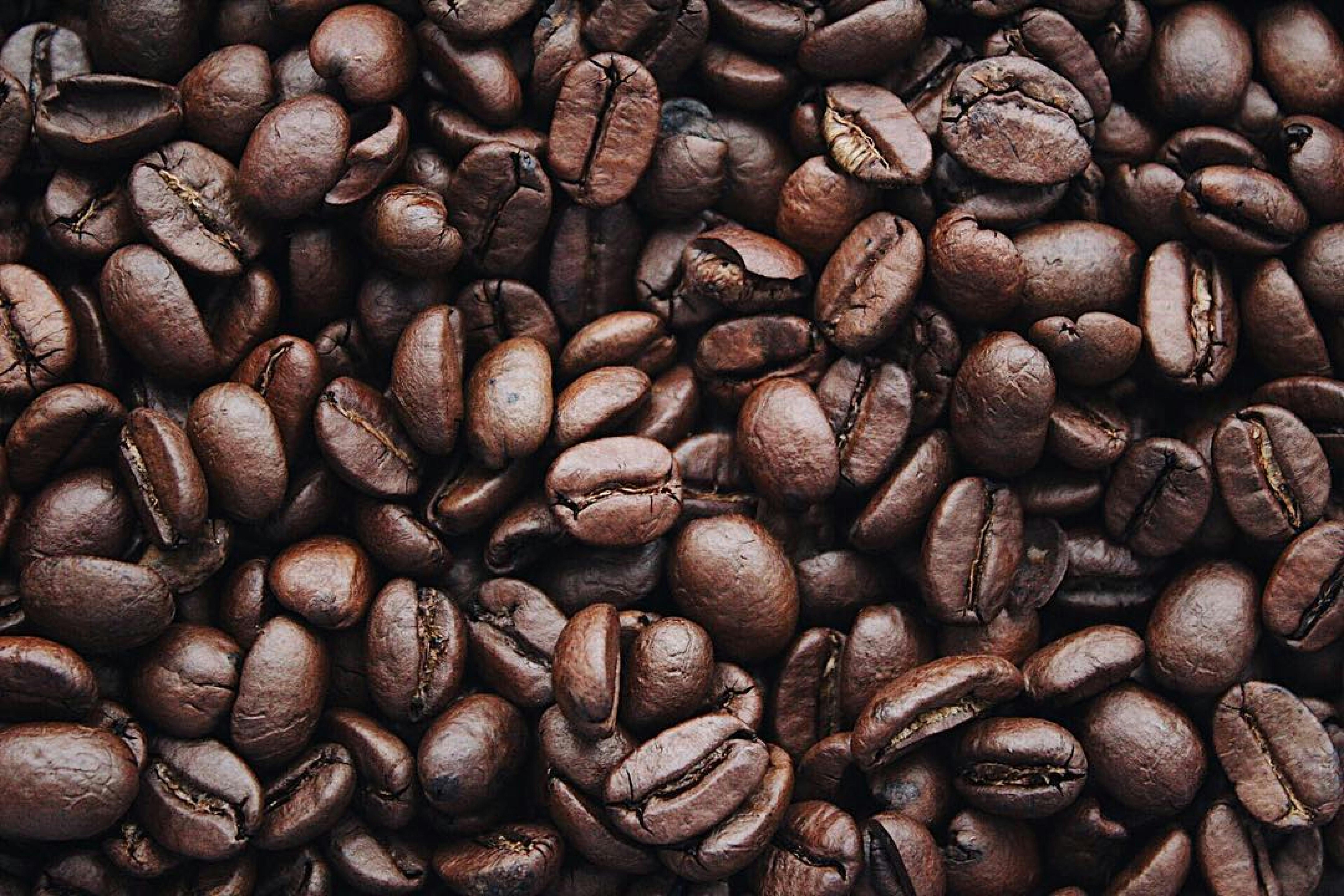 Coffee cherries and green beans